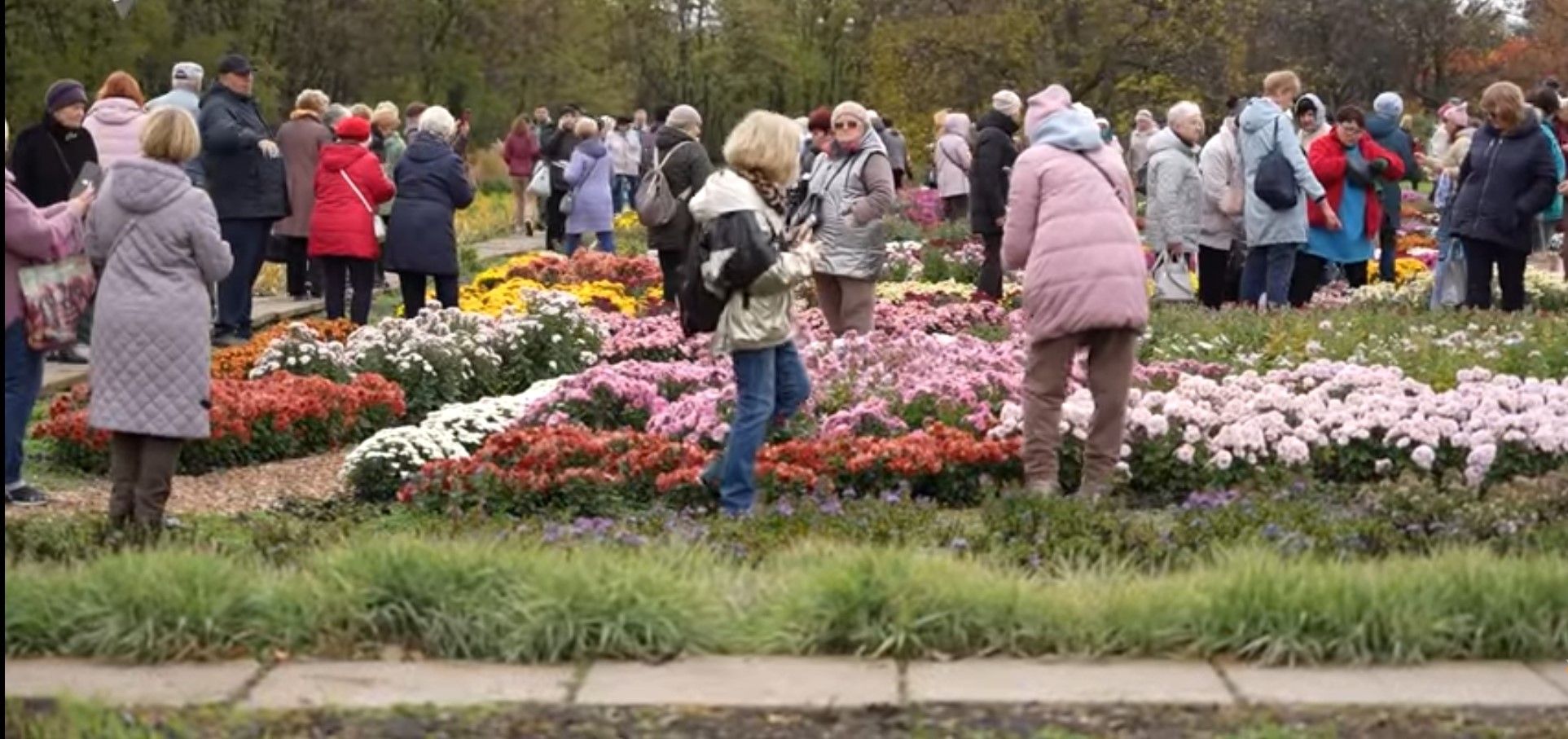 25.10.2025 слухачі «Університету третього віку» поринули у «Магію осені» в Криво
