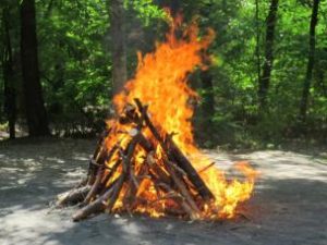 Наслідки від спалювання опалого листя