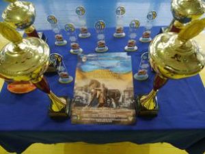 О. Вілкул: Спортивне життя у місті набирає обертів – з початку року у Кривому Ро