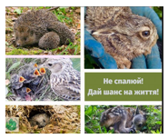 Не пали суху рослинність!